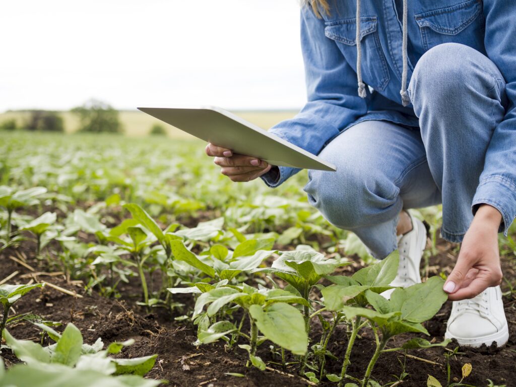 Female Farmers checking crops